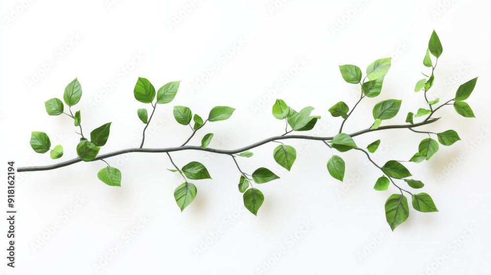 Thin Branch with Fresh Green Leaves Against White Background, Ideal for Spring and Nature Concepts Generative AI Thin Branch with Fresh Green Leaves Against White Background, Ideal for Spring and Nature Concepts Generative AI
