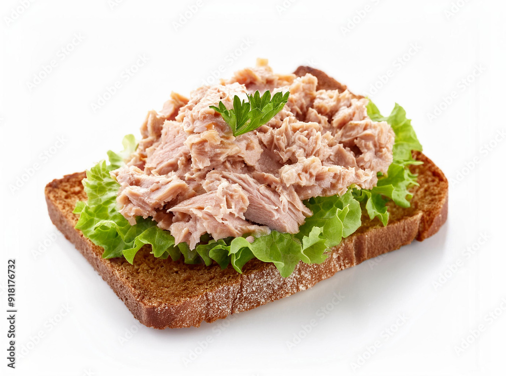 Open-Faced Tuna Sandwich on Rye Open-Faced Tuna Sandwich on Rye