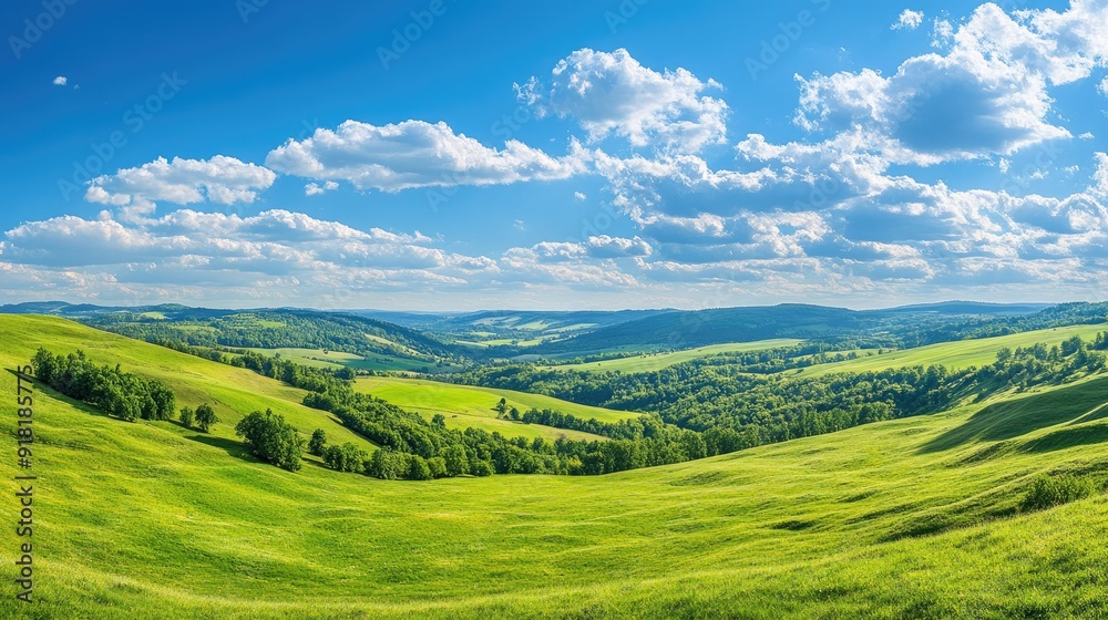 A panoramic banner of green hills and meadows under a vast blue sky, perfect for nature and outdoor themes. A panoramic banner of green hills and meadows under a vast blue sky, perfect for nature and outdoor themes.