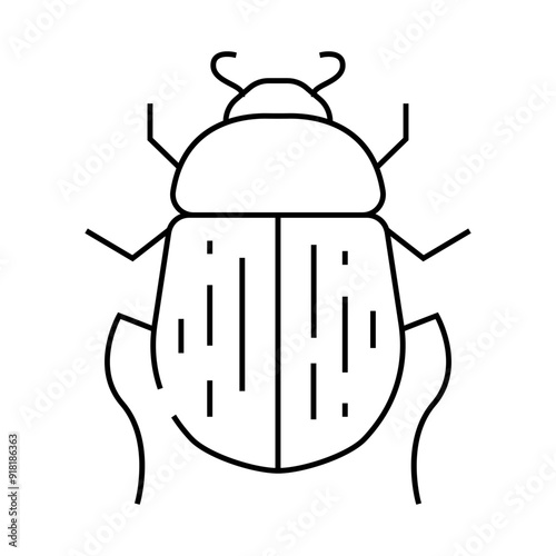 beetle bug egypt line icon vector. beetle bug egypt sign. isolated contour symbol black illustration