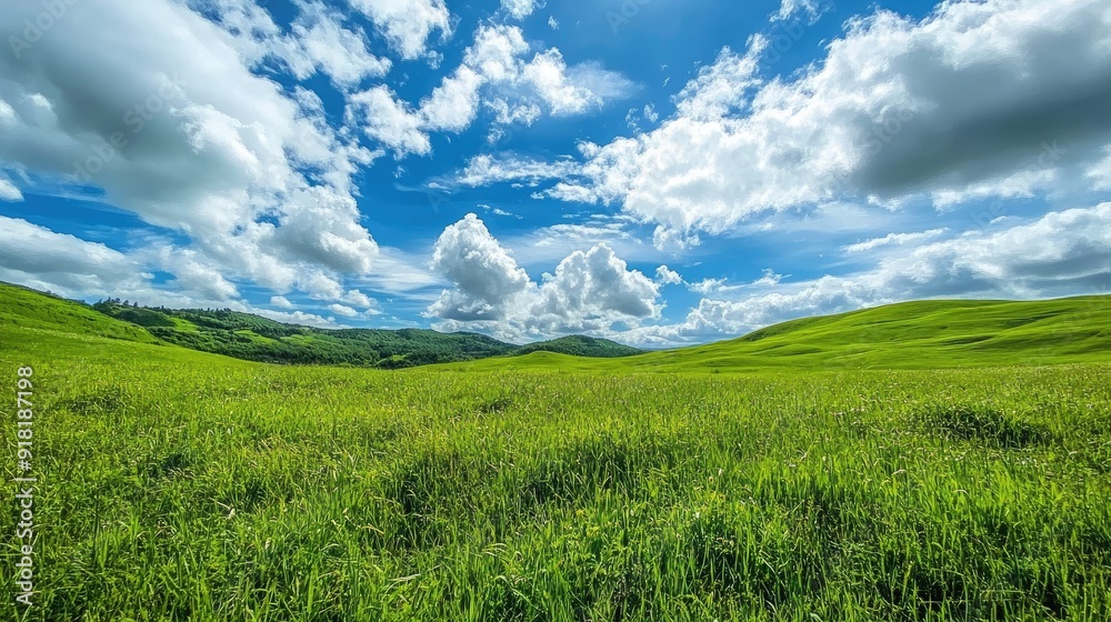 A peaceful meadow with vibrant green grass, framed by gentle hills and a sky full of soft white clouds. A peaceful meadow with vibrant green grass, framed by gentle hills and a sky full of soft white clouds.