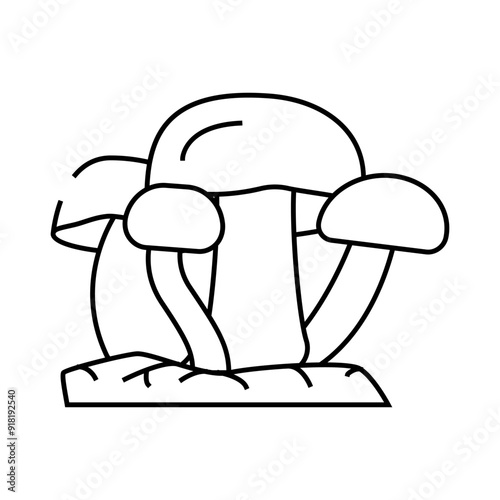 mushroom natural vegetable line icon vector. mushroom natural vegetable sign. isolated contour symbol black illustration