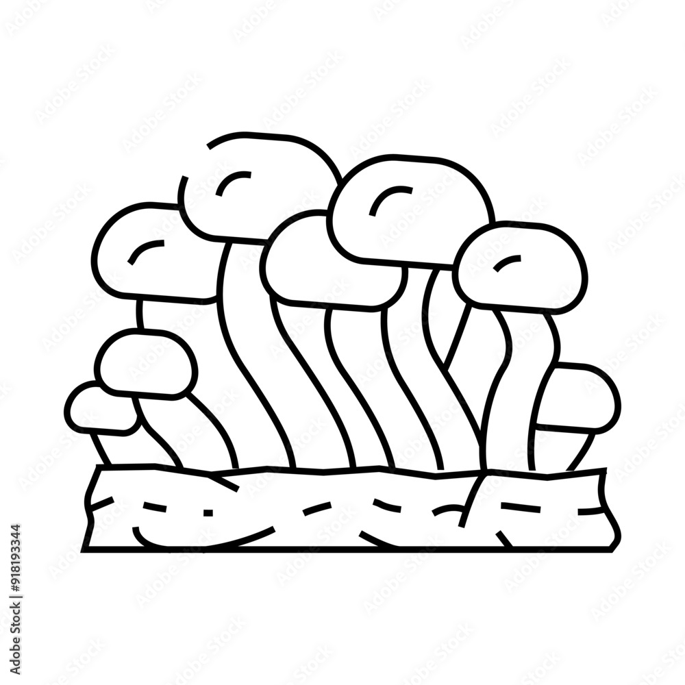 shimeji mushroom line icon vector. shimeji mushroom sign. isolated contour symbol black illustration shimeji mushroom line icon vector. shimeji mushroom sign. isolated contour symbol black illustration