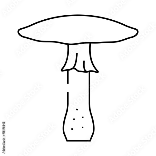 toadstool mushroom line icon vector. toadstool mushroom sign. isolated contour symbol black illustration
