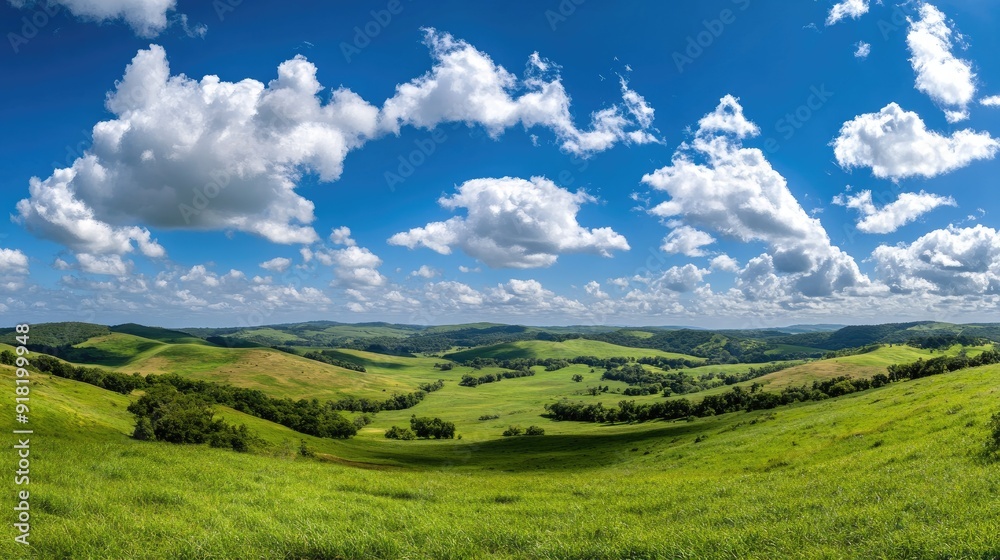 A wide panoramic view of rolling green hills and lush meadows under a bright blue sky dotted with white clouds. A wide panoramic view of rolling green hills and lush meadows under a bright blue sky dotted with white clouds.
