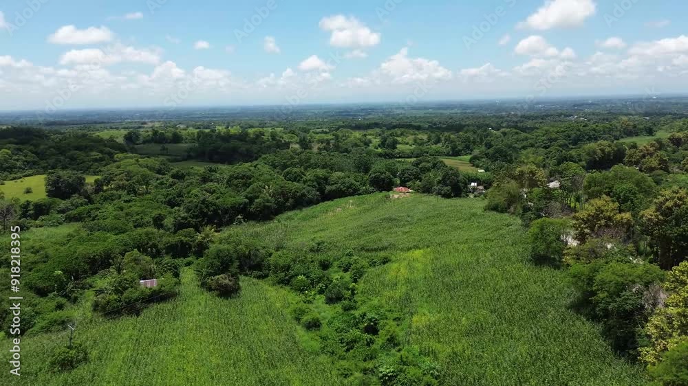 Amidst the forested mountains of the Cordilleras, there are cornfields on the rugged terrain Drone aerial Amidst the forested mountains of the Cordilleras, there are cornfields on the rugged terrain Drone aerial