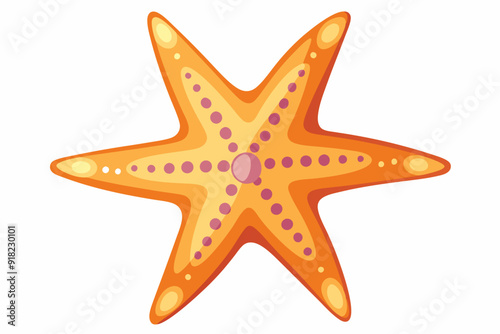 A Cartoon Orange and Pink Starfish