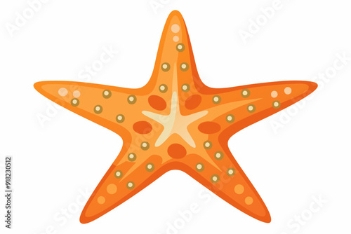 Orange Starfish with Beige Spots on a White Background