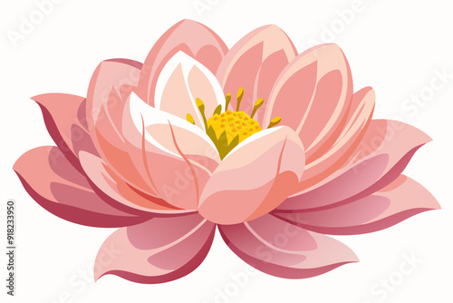 Pink Water Lily with Yellow Center and Delicate Petals