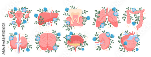 Human anatomy with blooming flowers set. Structure of internal organs and blossoms collection, education diagram of healthy kidney liver pancreas bladder lungs intestine