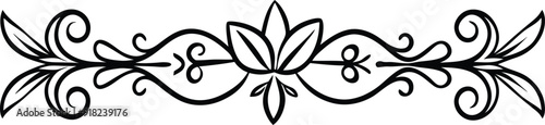 hand drawn decorative divider illustration