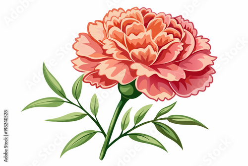 A single pink carnation with green leaves