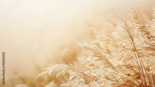 Subtle Beige Gradient Background for Versatile Product Mockups and Presentations