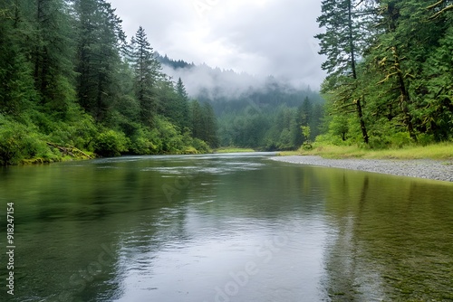 Tranquil Forest River Flowing Through Lush Green Wilderness Landscape