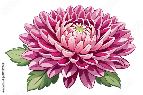 A Pink and White Dahlia Blossom with Green Leaves