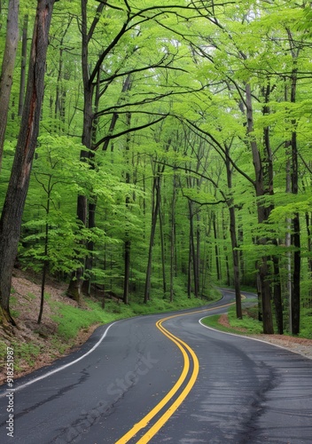 A winding road through a lush green forest, showcasing nature's beauty.