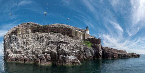 Bass Rock Island With Nesting Northern Gannets (Morus Bassanus) In The Atlantic Ocean Of Firth of Forth At North Berwick Near Edinburgh In Scotland photo