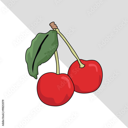 cherry fruit illustration 2d flat graphic.eps