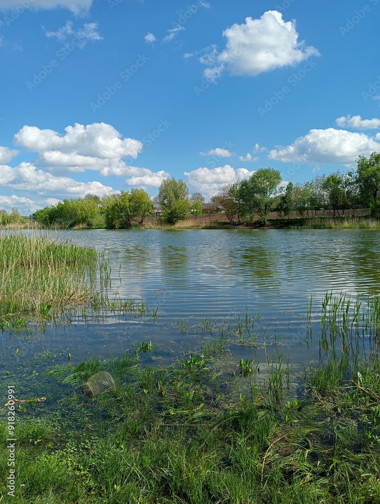 Obraz premium landscape with lake
