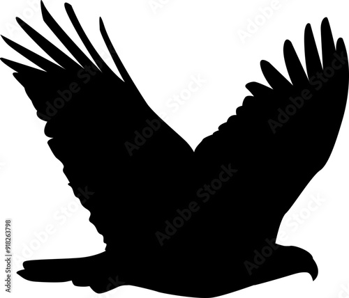 Eagle silhouette in black. Flying Aquila chrysaetos silhouette isolated. Eagle black design.