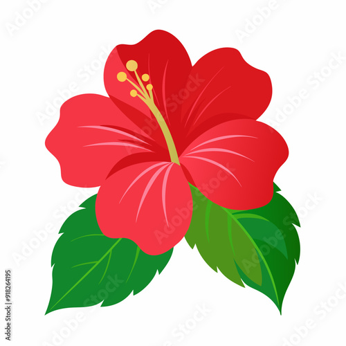 Tropical hibiscus flower  art vector