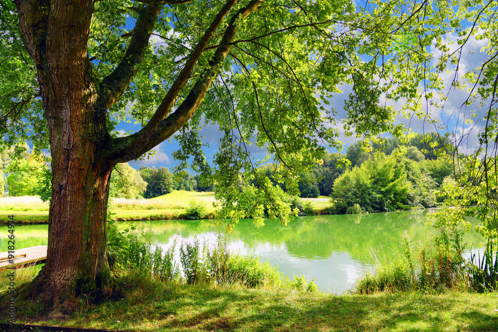 A beautiful landscape with a pond and trees. A beautiful landscape with a pond and trees.