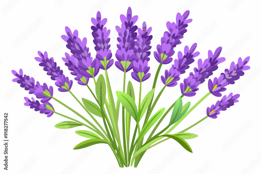 Naklejka premium A Bouquet of Purple Lavender Flowers with Green Leaves
