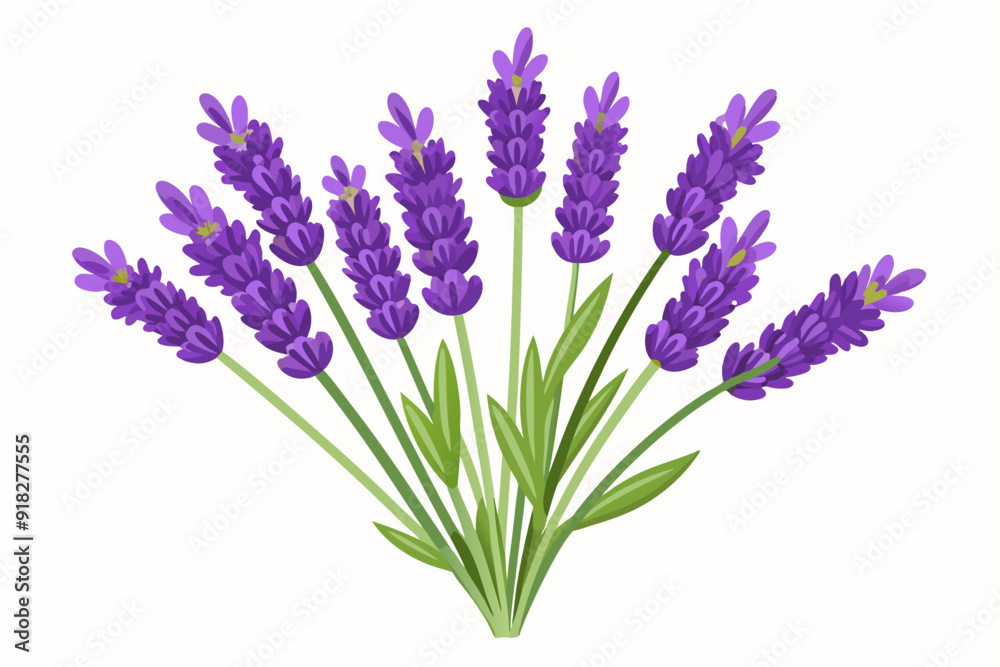 Fototapeta premium A Bouquet of Purple Lavender Flowers with Green Stems and Leaves