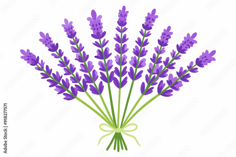 Fototapeta premium A Bouquet of Lavender Flowers Tied with a Bow