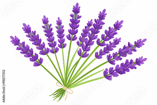 A Bouquet of Lavender Flowers Tied with String