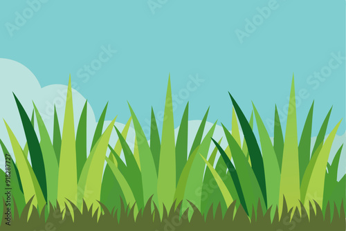 Green Grass and Blue Sky Landscape