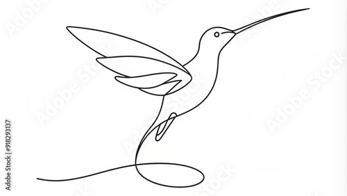 Continuous Line Drawing of a Hummingbird photo