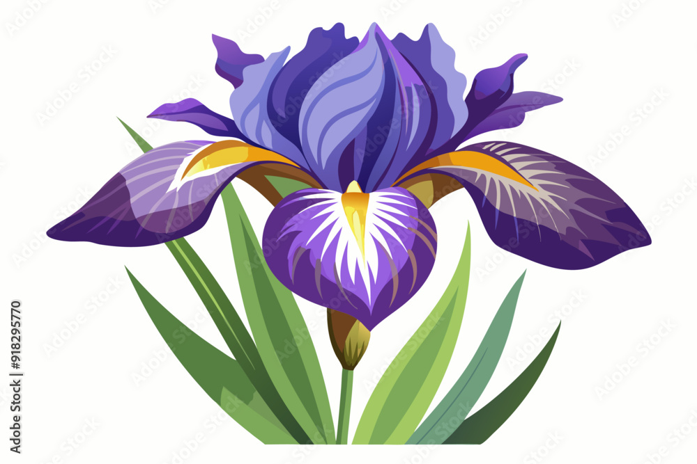 Purple and Yellow Iris Flower with Green Leaves Purple and Yellow Iris Flower with Green Leaves