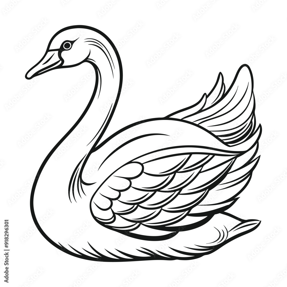 swans vector hand drawn illustration swans vector hand drawn illustration
