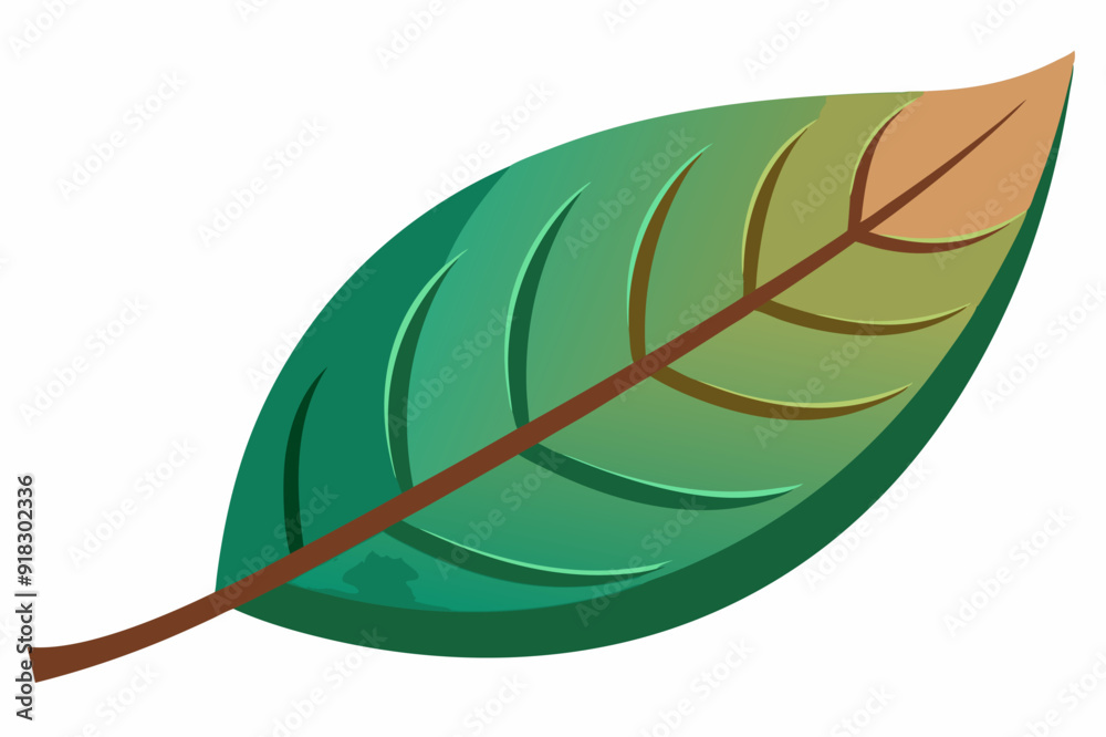 Green Leaf with Brown Stem and Veins Green Leaf with Brown Stem and Veins