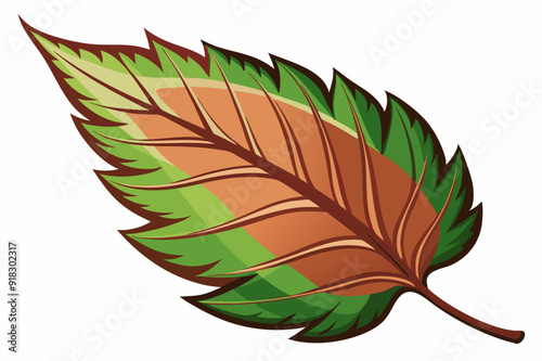 A Single Leaf with Brown and Green Colors