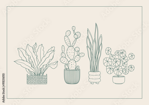 Outline potted plants on a new home greeting card. Sweet home house plants in flowerpots housewarming invitation. Indoor home plants in doodle line art style. House flowers. Linear vector illustration