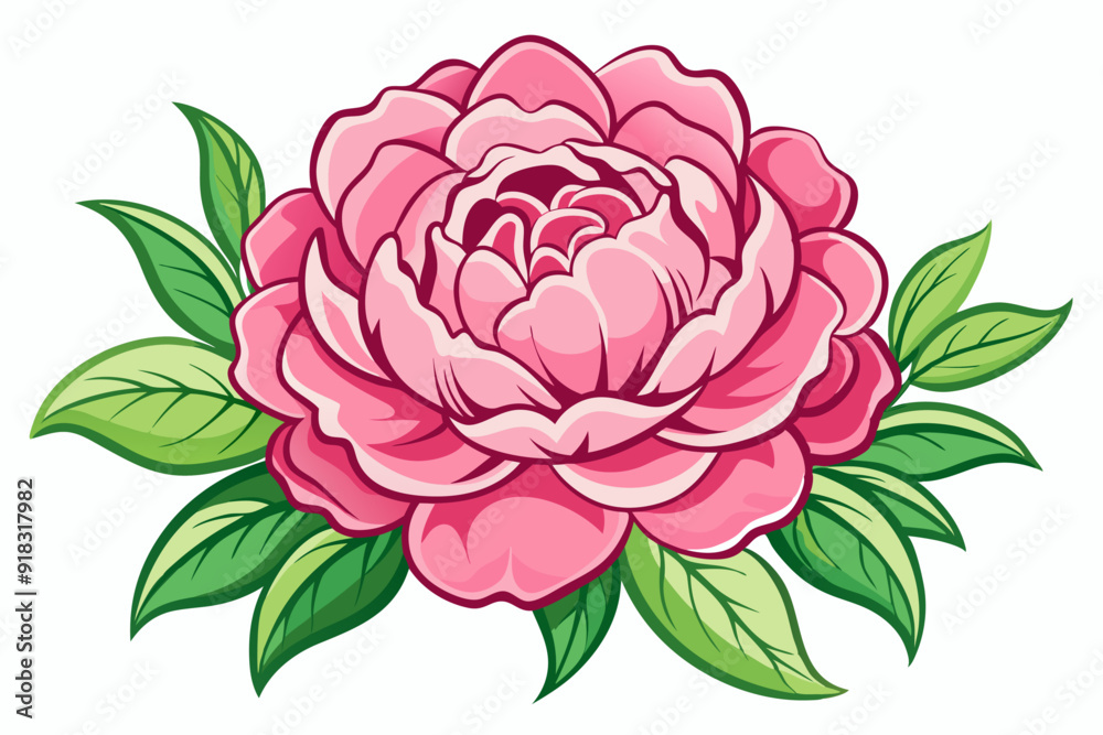 A Pink Peony with Green Leaves A Pink Peony with Green Leaves