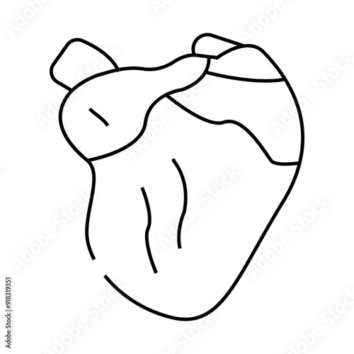 broiler chicken heart line icon vector. broiler chicken heart sign. isolated contour symbol black illustration