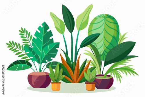 A Collection of Potted Plants with Lush Green Foliage