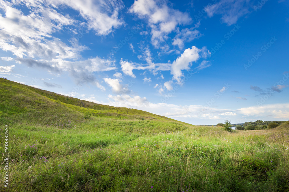 Obraz premium Soft green hills stretch beneath a vast blue sky, dotted with fluffy clouds, creating a peaceful landscape perfect for a day outdoors.
