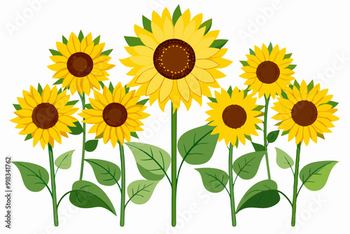 A Group of Bright Yellow Sunflowers with Green Leaves