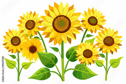 A Cluster of Bright Yellow Sunflowers with Green Leaves