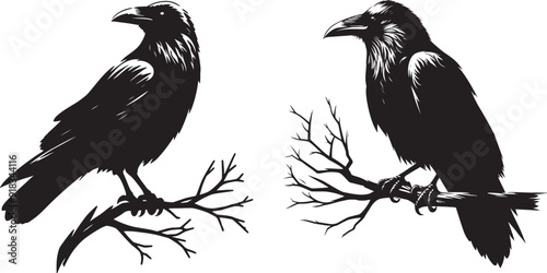 A dark and moody vector silhouette of a raven perched on a barren branch