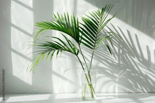 Modern interior featuring green palm leaves in a transparent glass vase against a minimalist white