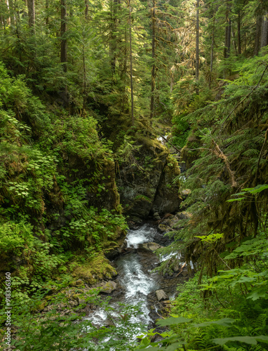 Sol Duc River Rushes Through Canyon Dripping In Green Vegitation
