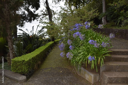 Escadas em pedra num jardim antigo