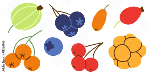 Berries set isolated on white. Colorful hand drawn decorative elements. Autumn berries in simple flat style. Vector illustration.