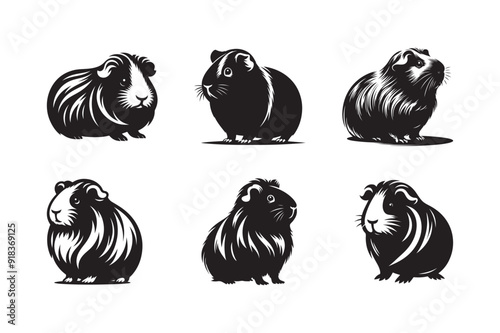 Guinea Pig silhouette vector illustration