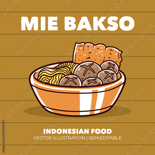 Mie bakso indonesian food vector illustration